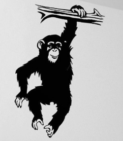 mono chimpance cuadrumano
